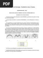 Plegamiento Del Tubo Neural