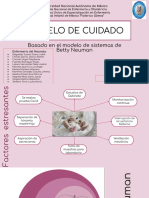 Teoria de Betty Neuman Aplicado A Un Neonato Positivo A SARS COV-2