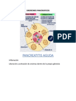 Sindromes Pancreaticos