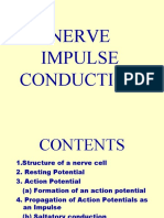 Nerve Impulse