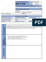 Formato de Reporte Flash