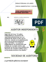 SEMANA 4 AUDITORES INDEPENDIENTES y SA