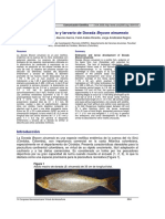 Desarrollo Embrionario y Larvario de Dorada