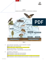 Ae FichaSumativa 4B