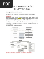 Tema 1. Embriología