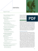 Chapter 2 - General Characteristics of The Spine