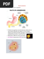 Páncreas Endocrino