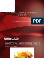 Tema Nº4 Bioquímica de Los Nutrientes