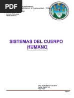 Sistemas Del Cuerpo Humano