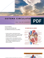 Sistema Circulatorio