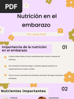 Nutrición en El Embarazo