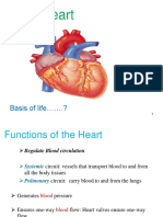 Patho - 21 HeartAdv - 211005 - 230536