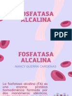 Fosfatasa Alcalina