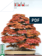 Fdocuments - Ec Bonsai Pasion 85