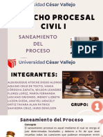 Saneamiento Del Proceso Grupo-01