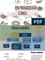 Parasitología Final