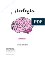 Preview Apuntes Psicología