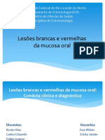 Lesões Brancas e Vermelhas