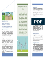 Folleto Del Medio Ambiente y Energia Renovable