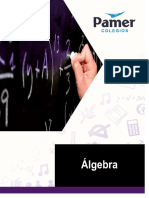 08 Algebra