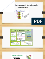 Composicion Quimica de Las Principales Biomoleculas (Recuperado)