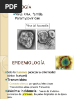 Sarampion