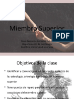 Miembro Superior: Paula Fernanda González Pulido Departamento de Morfología Pontificia Universidad Javeriana