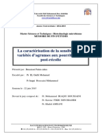 La Caractérisation de La Sensibilité Des Variétés D'agrumes Aux Pourritures en Post-Récolte - Benaissat Fatim-Zahra