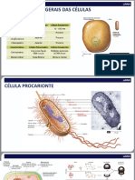 PC SP - Polícia Civil Do Estado de São Paulo - Perito Criminal - Slide - 2 - Micros