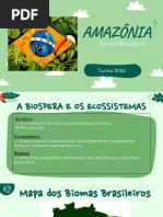 Séminário de Geografia - AMAZÔNIA