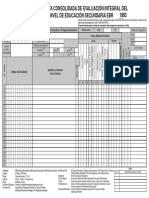 Acta Consolidada de Evaluacion Integral