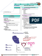 Staphylococcus - Aureus, Epidermidis, Saprophyticus Atf