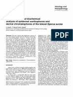 Ultrastructural and Biochemical Analysis of Epidermal Xanthophores and Dermal Chromatophores of The Teleost Sparus Aurata