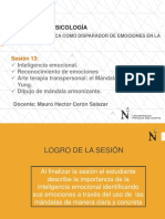 TP Sesión 13 Inteligencia Emocional Terpia Transpersonal