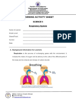 Respiratory System