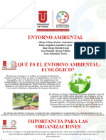 Taller 5 Entorno Ambiental