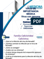 Sesion Virtual Caliciviridae