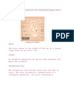 Anatomy and Function of The Ear and Nasal Cavity