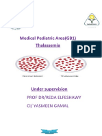 1 Thalassemia