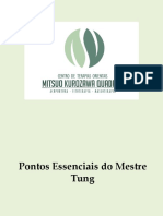 Pontos Essenciais Do Mestre Tung