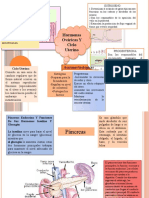 Presentación PANCREAS