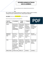 Pauta de Evaluación Infografía