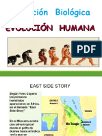 Evolución Del Ser Humano