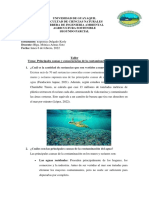 Taller Contaminación Del Agua