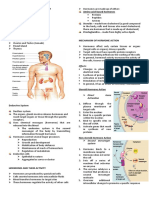 Endocrine System