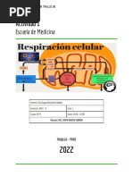 Sesión 5 - Actividades y Fundamentos