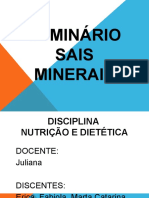 Seminario Sais Minerais 2