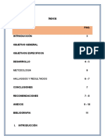 Investigacion Informe Tecnologico