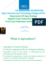 Fruit PPT 2020