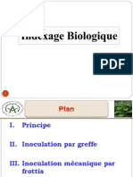 Indexage Biologique